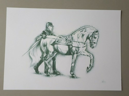 Affiche dressage de cheval - dressage,