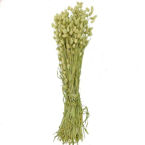 Bouquet fleurs séchées