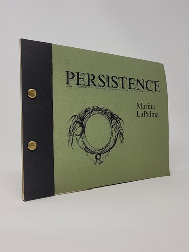 Marina lapalma persistence - lapalma,