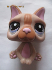 FRENCH BULLDOG PETSHOP N°1896