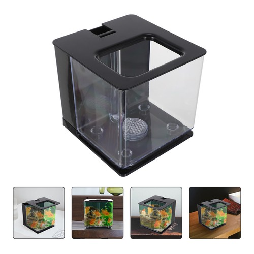 Aquarium pour poissons - aquarium,