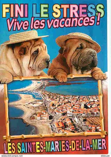Carte postale animaux - carte,