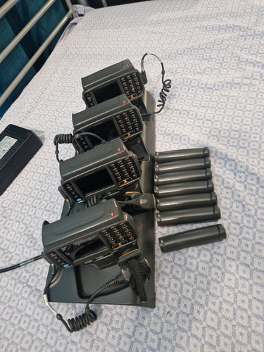 Zebra motorola - 4x,