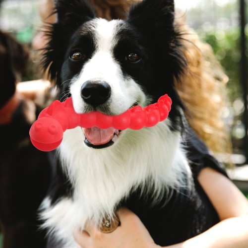 Jouet chien interactif - ,