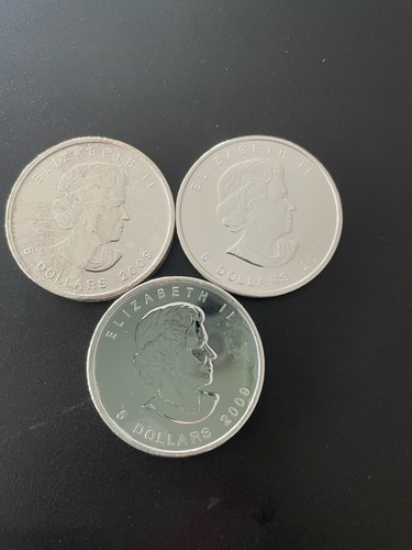 Maple leaf argent pur 1 - 3,