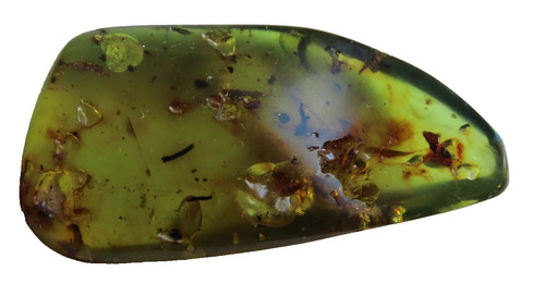 Ambre copal teinte jaune vert - teinte, jaune/vert