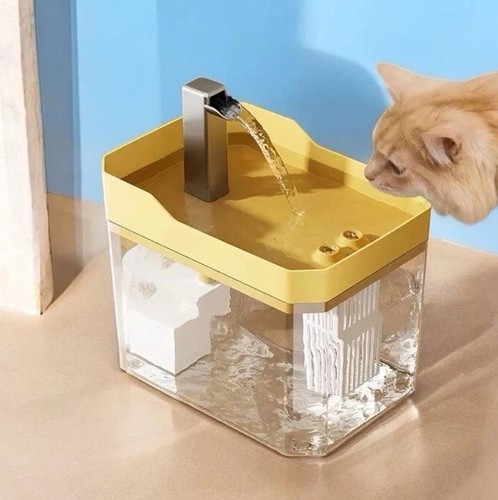 Fontaine eau chat - eau,