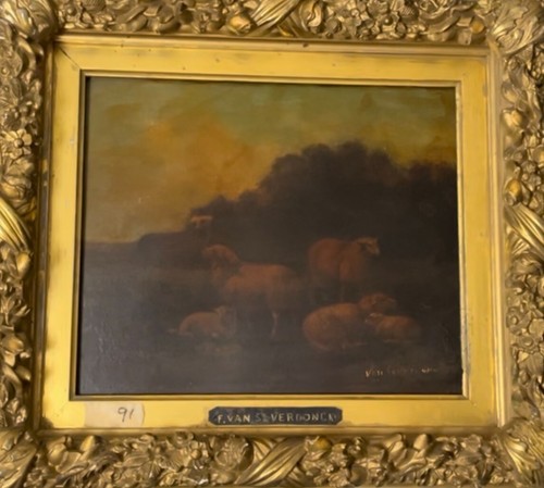 Franz van severdonck - franz,