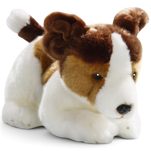 Carl dick jack russel - carl,