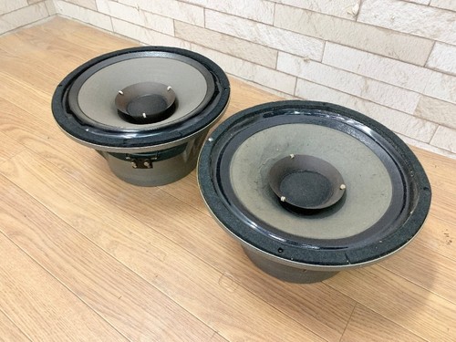 Goodmans axiom 301 inch - axiom,