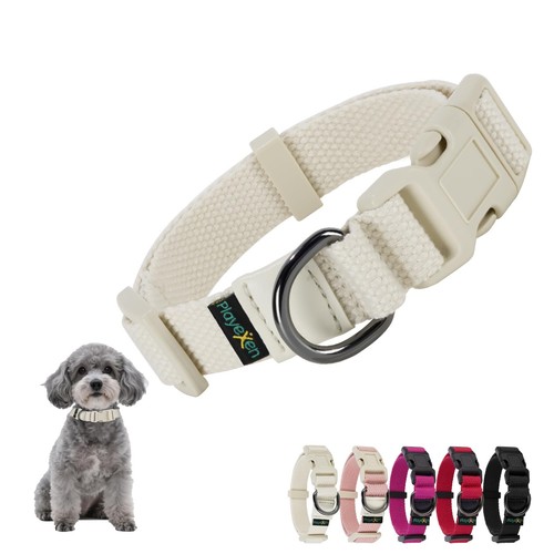 Collier chiot - collier, chiot,