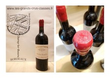 Le Petit Cheval 2019 -