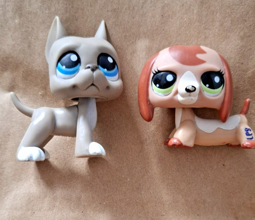 Authentic lps littlest petshop - authentic,