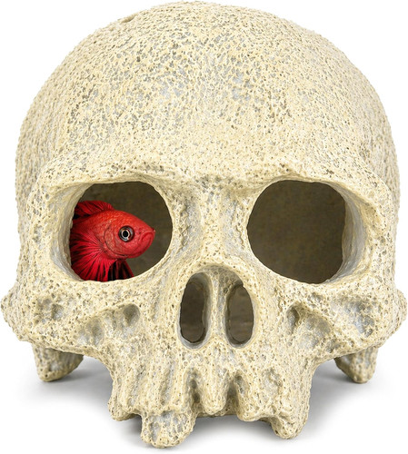 Skull terrarium decor reptile - terrarium,