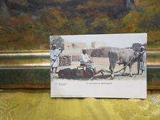 Old postcard Africa Africa Egypt the ploughman and straw axe