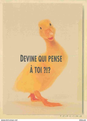 Carte postale animaux - postale,