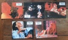 5 Photos originales CENTRAL PARK DRIVER Gerard CICCORITTI vampire horreur  1987