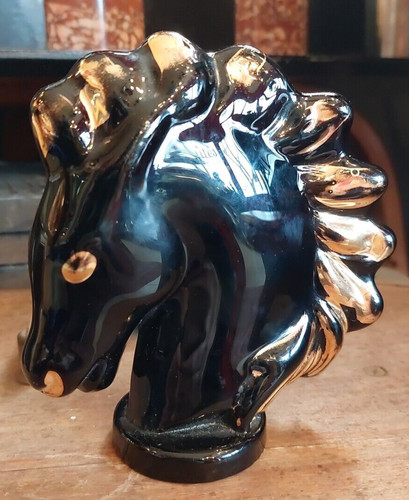 Tête cheval verre noir - tête,