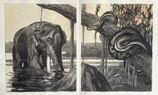 Paul JOUVE Gravure Animalière