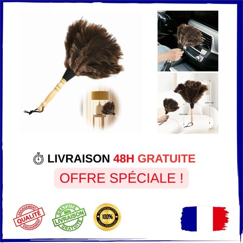 Plumeau plumes autruche - plumeau,
