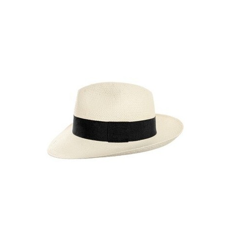 Chapeau paille type - paille, panama