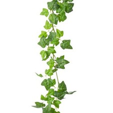 GUIRLANDE LIERRE FOURNIE