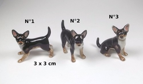 Chien miniature - chien, en