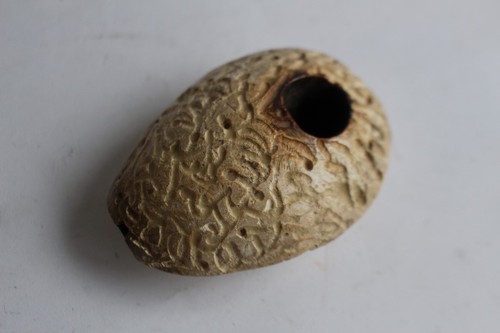 Ancienne pipe écume sculptée - ancienne,