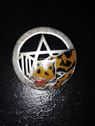 Insigne militaire rare - militaire,