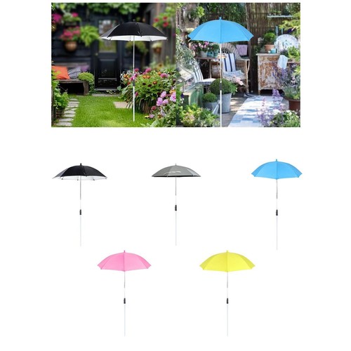 Pare soleil pour - pare-soleil, plantes