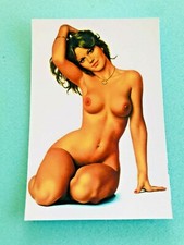 CARTE POSTALE 15X10 ASLAN PIN