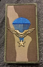 écusson militaire 1er RCP