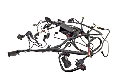 Faisceau éléctrique ducati - faisceau,