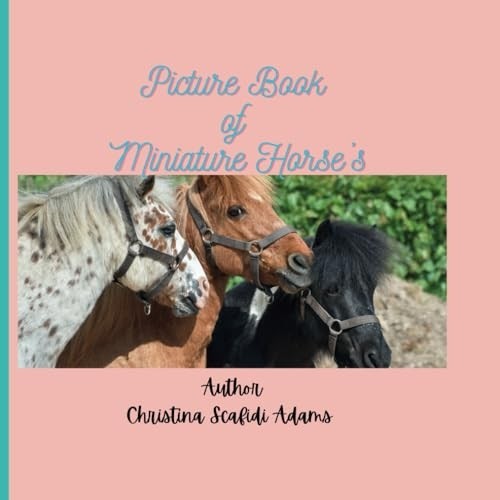 Livre images chevaux - livre, de