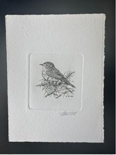 Belgique 2000 COB 2919 Epreuve