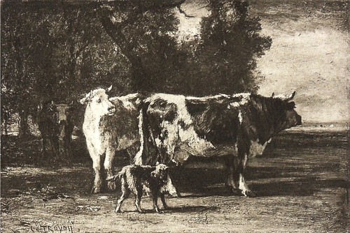 Vaches lisière d un - vaches, la