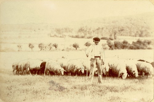 France landes circa - france,