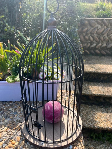 Cage oiseaux métal - ,