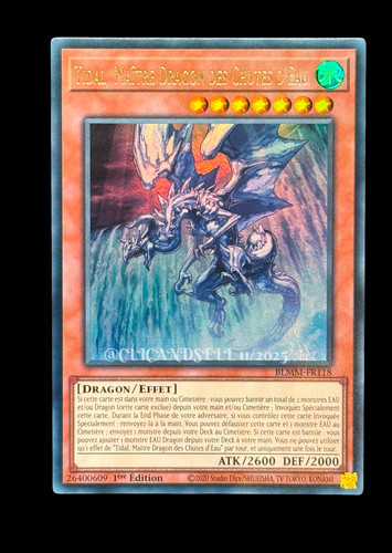 Carte blmm fr118 - carte, yu-gi-oh