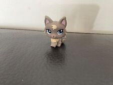 LITTLEST PETSHOP Chat  cat persan 1411 LPS Hasbro