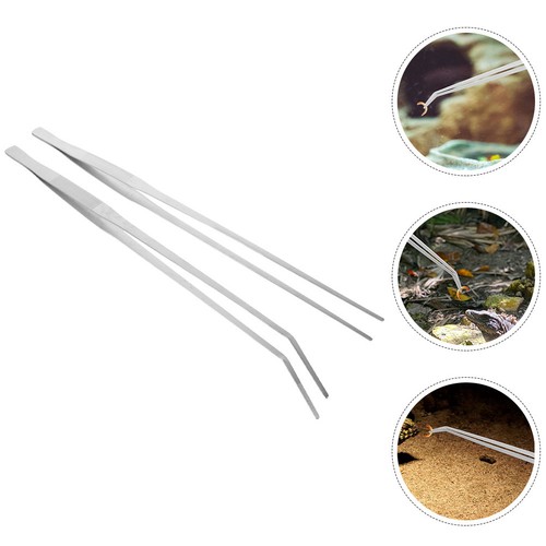 Pcs outils pour terrarium - pcs,