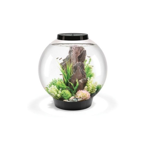 Oase biorb classic mcr noir - oase,