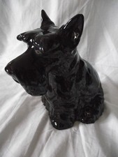 Tirelire motif -  CHIEN