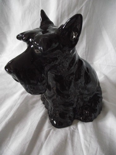 Tirelire motif chien - -,