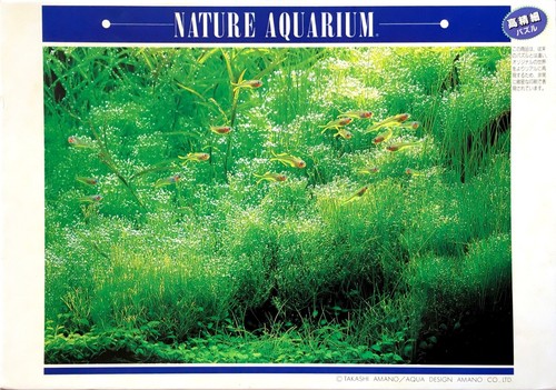 Nature aquarium - nature,