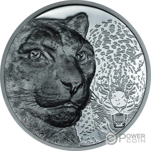 Snow leopard wild mongolia - leopard,