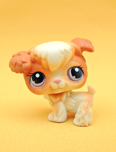Lps littlest pet shop 37 - lps,