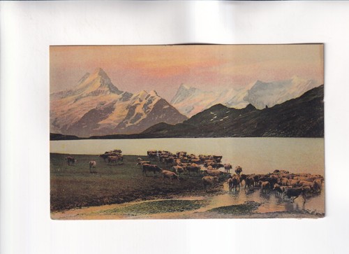 G530 carte postale - g530),