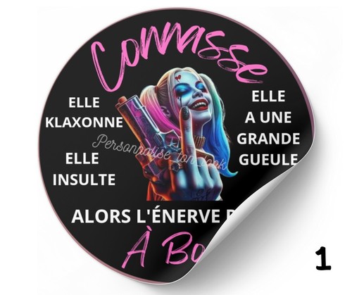 Stickers pour voiture connasse - stickers,