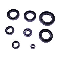 Moteur Frémissante Lot pour